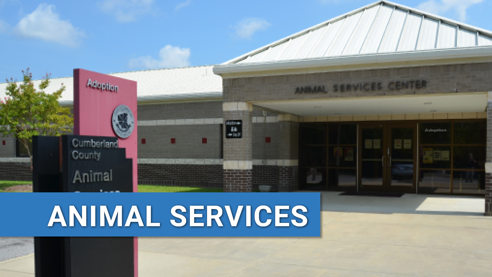 Animal Services