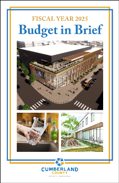 images of performing arts center and glass of water under kitchen tap with title Fiscal Year 2025 Adopted Budget