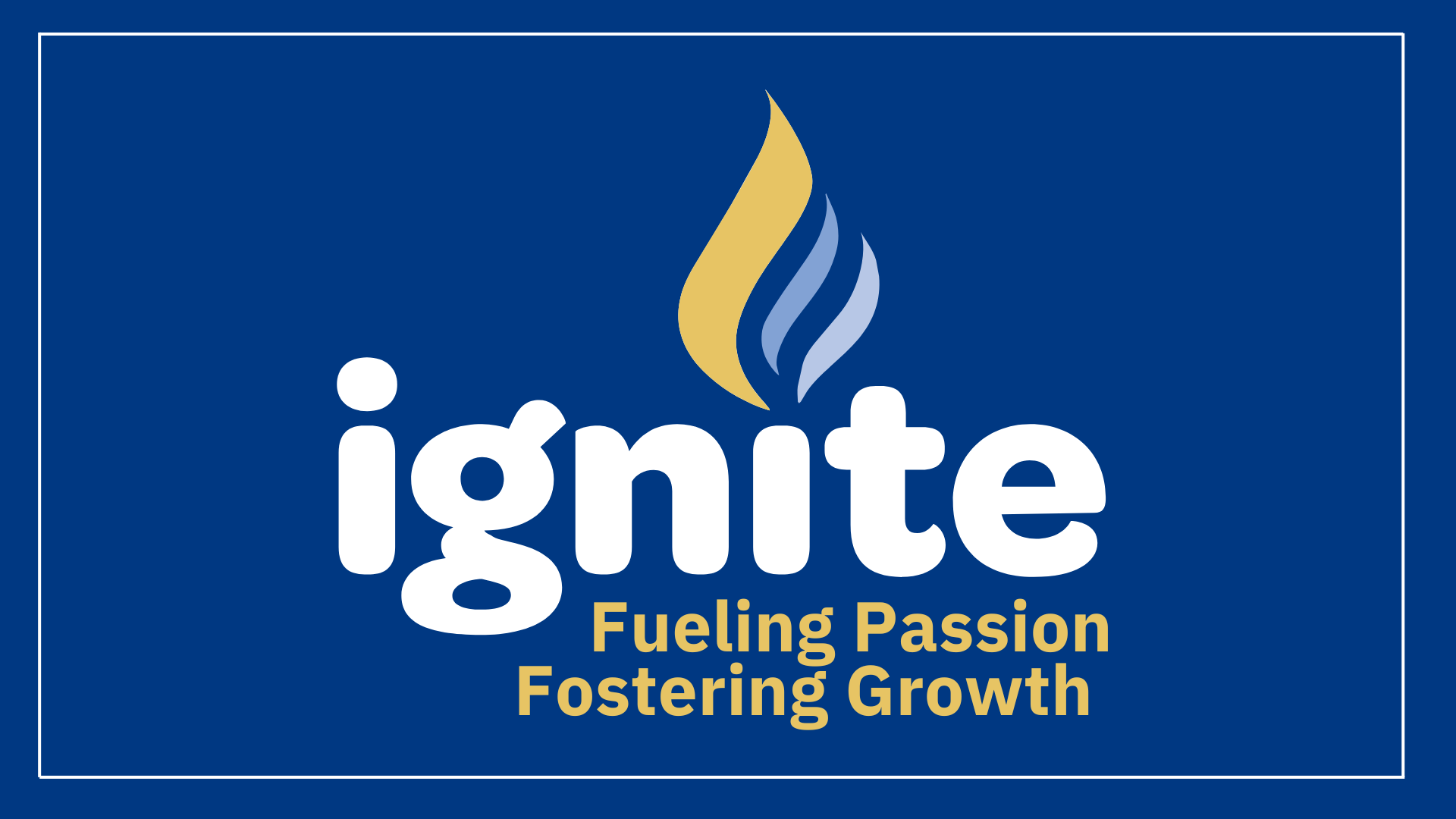 Ignite Internship